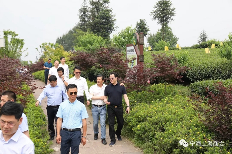 联商联谊，共谋发展